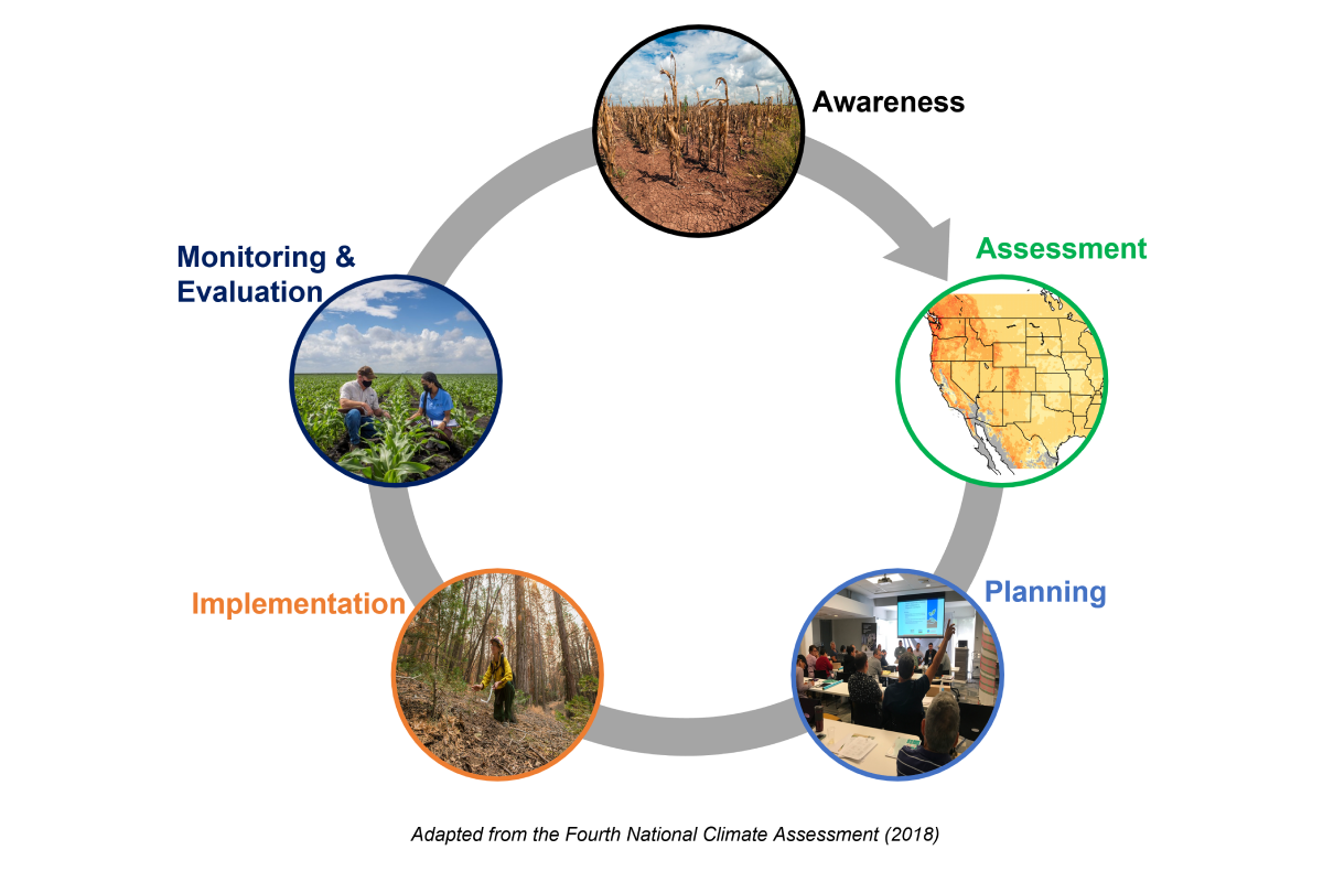 Climate Adaptation in Development Programs