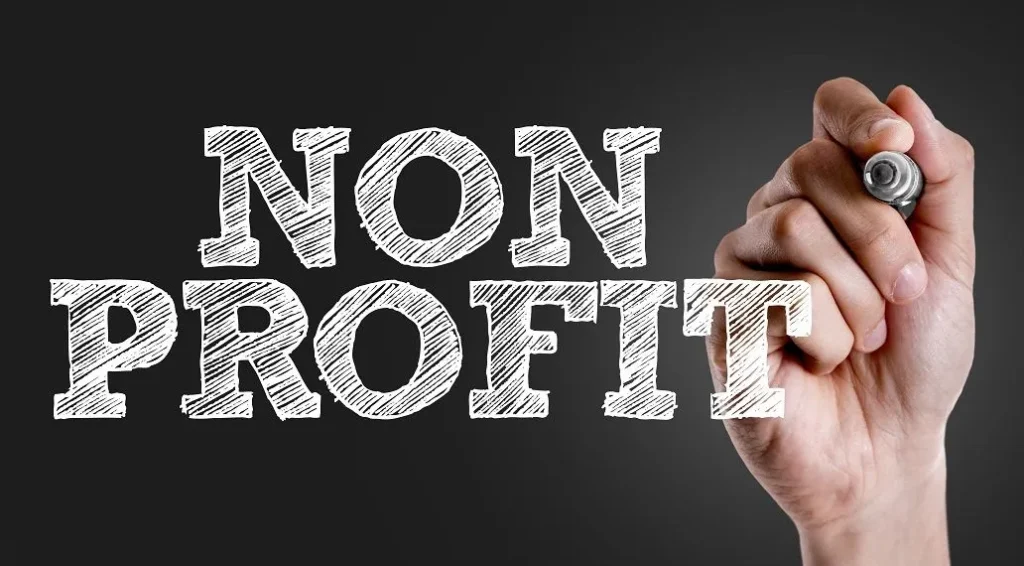 Institutional Strengthening and Compliance for Not-for-Profit Organizations (NPOs)